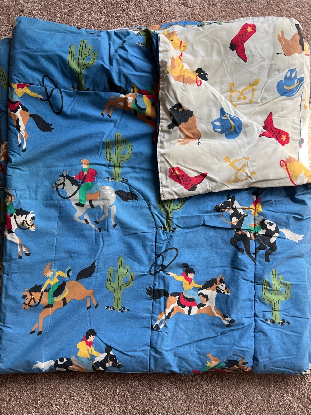 Vintage Lands End Coming Home Kids Sleeping Bag
